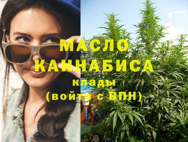 индика Вяземский